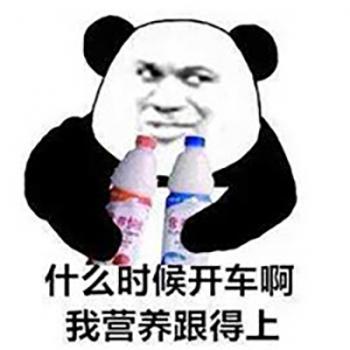 熊猫图片 _ 第(1)张