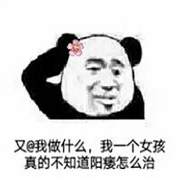 熊猫图片 _ 第(5)张