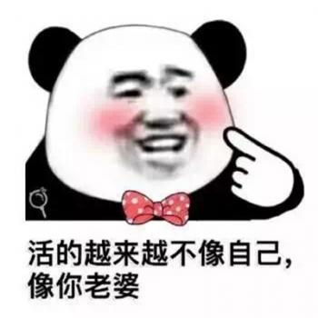 金馆长熊猫文字微信表情包：这是一个悲伤的故事！第0张