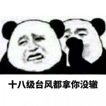 熊猫图片 _ 第(8)张