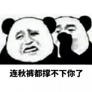 熊猫图片 _ 第(9)张