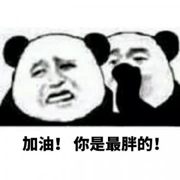 熊猫图片 _ 第(10)张