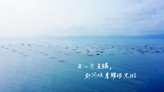 心情图片 _ 第(10)张