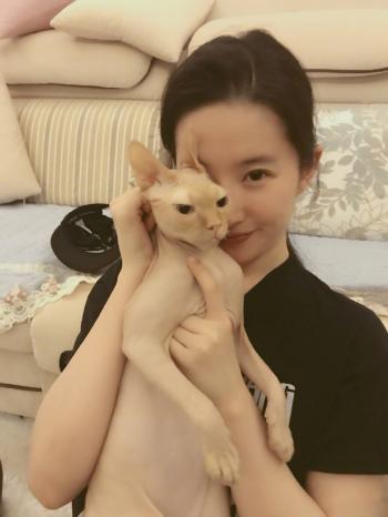 刘亦菲图片 _ 第(4)张