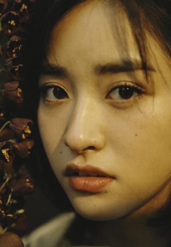 清新淡雅图片 _ 第(9)张