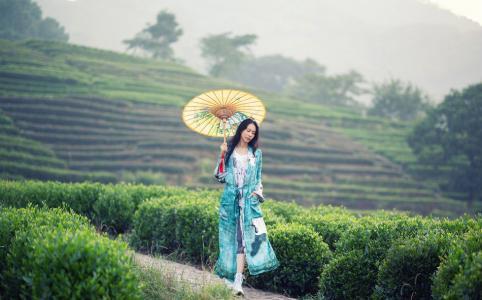 丽图图片 _ 第(8)张