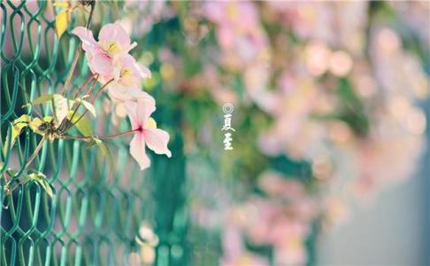 节日图片 _ 第(1)张