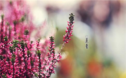 节日图片 _ 第(4)张