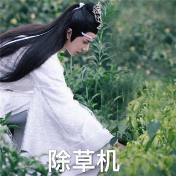 陈情令肖战魏无羡表情包图片第0张