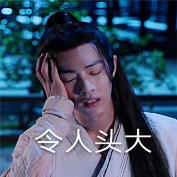 陈情令肖战魏无羡表情包图片第1张