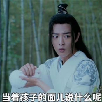 陈情令肖战魏无羡表情包图片第6张