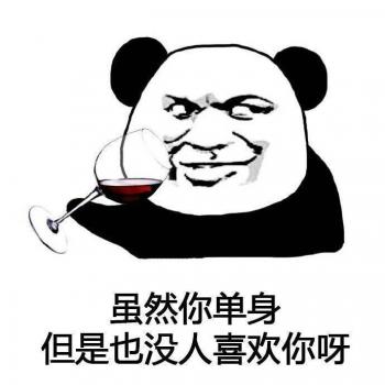 熊猫图片 _ 第(10)张