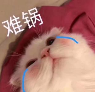 心情文字图片 _ 第(7)张