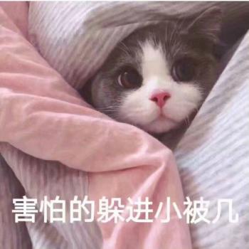 心情文字图片 _ 第(8)张