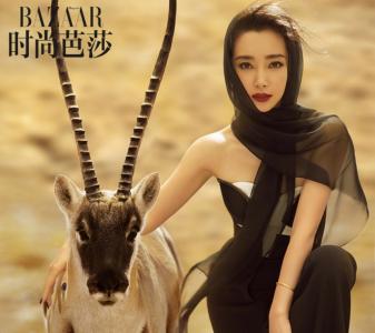 图片 _ 第(8)张