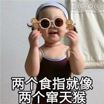 狼图片图片 _ 第(9)张