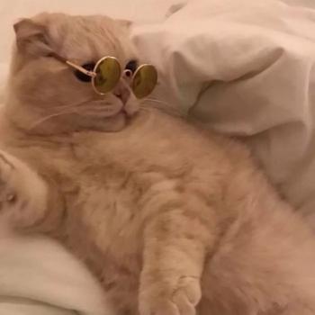 90后性感小猫咪写真第4张