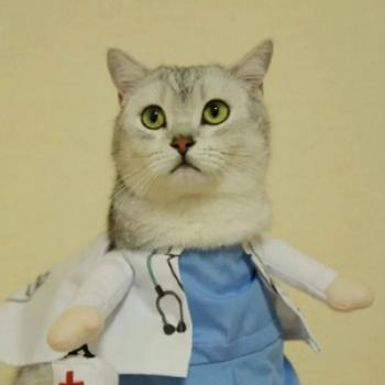 90后性感小猫咪写真第5张