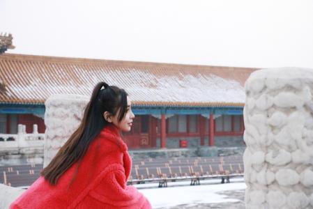 主持人章艳图片 中央电视台主持人章艳图片第4张