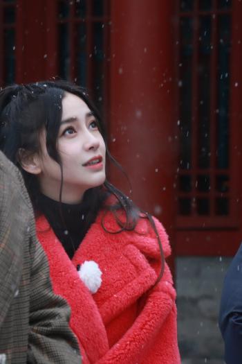 主持人章艳图片 中央电视台主持人章艳图片第6张