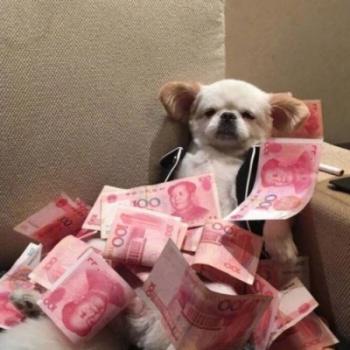 超级可爱吸引人萌娃情侣头像图片第3张