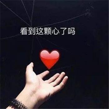 表情包图片 _ 第(8)张