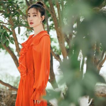 王丽坤图片图片 _ 第(4)张