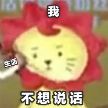 第3张