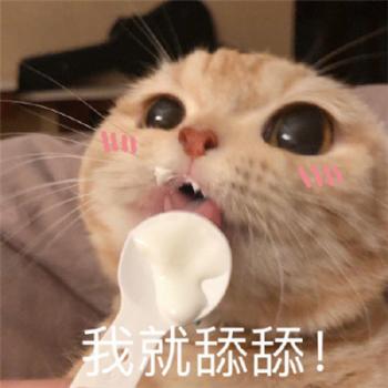 精选可爱萌宠汪星人图片 十二生肖狗图片第4张