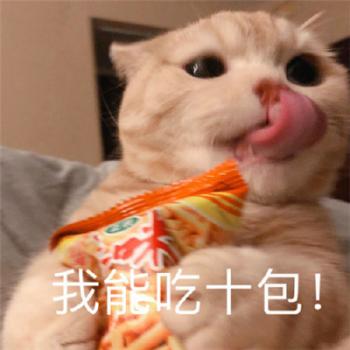 萌宠图片图片 _ 第(10)张