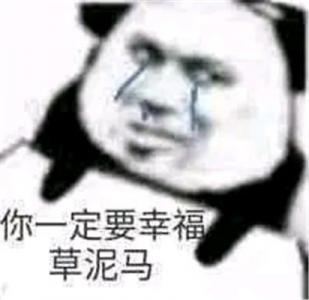熊猫图片 _ 第(1)张