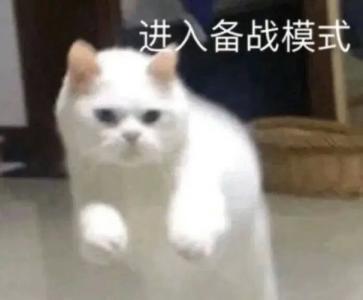 第3张