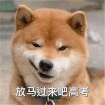 幽默搞笑图片 _ 第(8)张