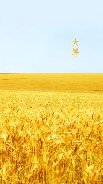 上海秋天风景 秋天落叶唯美风景图片第4张