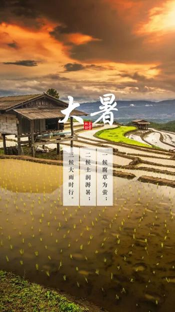 上海秋天风景 秋天落叶唯美风景图片第5张