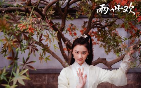 王嵛图片 _ 第(7)张