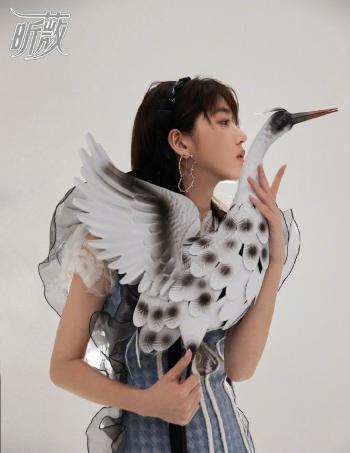 第3张