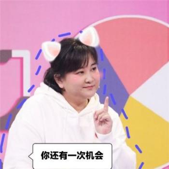 中国内地湖北襄阳里相声演员贾玲搞笑表情包图片第3张