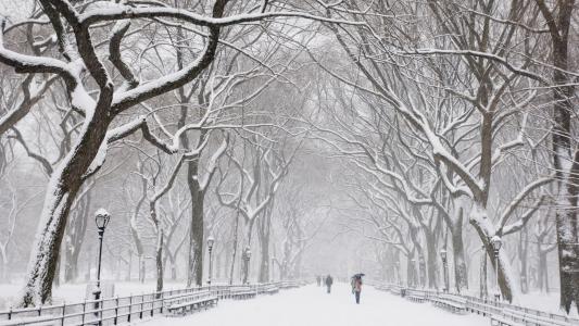 2016年11月日历冬天树木白雪风景精选壁纸下载第6张