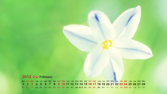 2013年2月日历壁纸之安静的蓝色海滩第3张