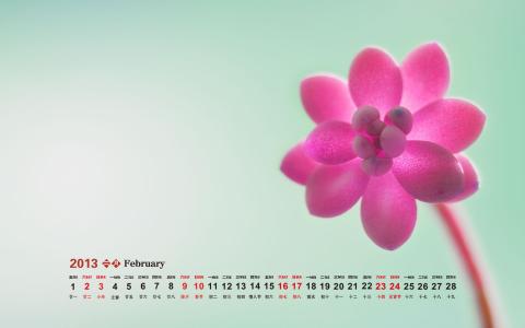 日历壁纸图片 _ 第(9)张