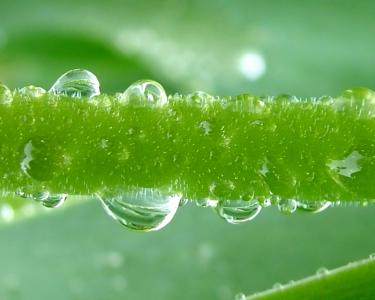 水滴图片 _ 第(2)张