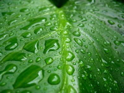 水滴图片 _ 第(7)张