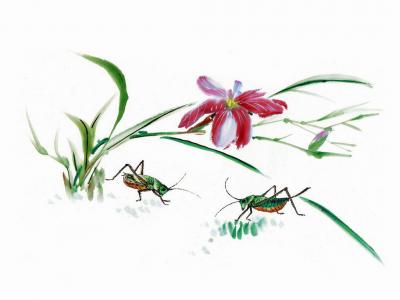 植物水彩艺术插画手机壁纸第5张