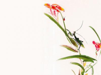 中国水彩图片 _ 第(13)张