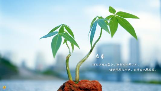 图片 _ 第(4)张 图片 _ 第(4)张