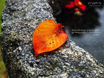 风景图片 _ 第(24)张