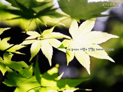 风景图片 _ 第(26)张