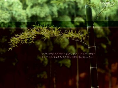 风景图片 _ 第(28)张