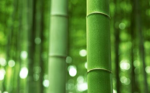 风景图片 _ 第(11)张